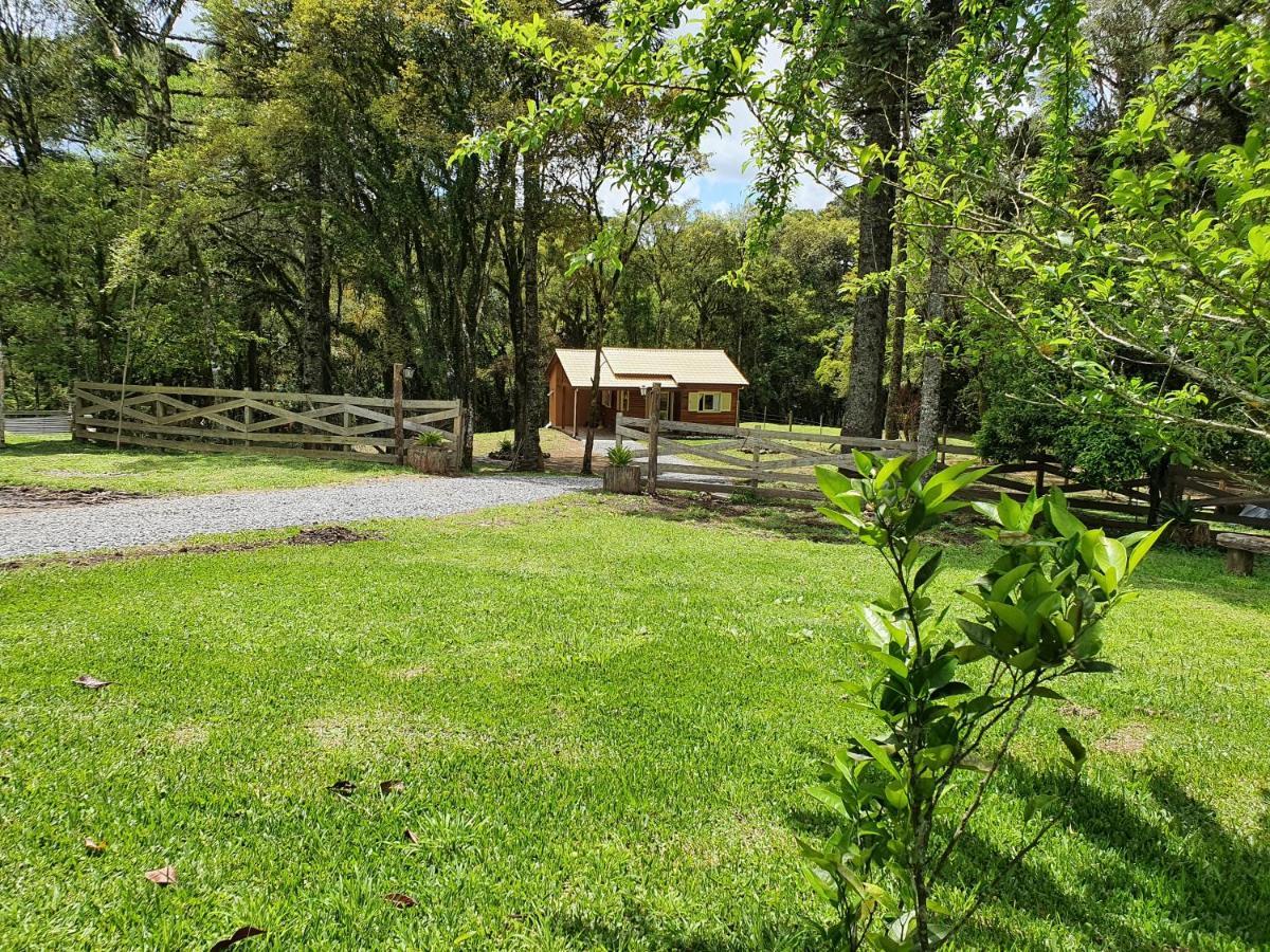 Sitio Recanto Feliz Gramado Zewnętrze zdjęcie