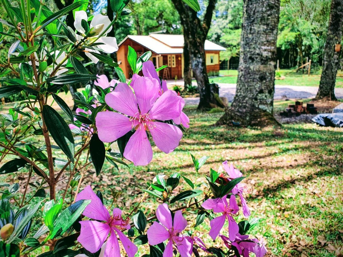 Sitio Recanto Feliz Gramado Zewnętrze zdjęcie