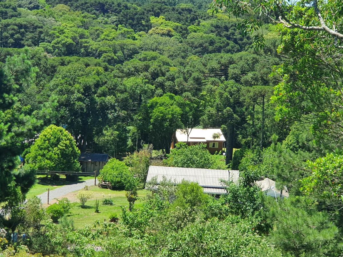 Sitio Recanto Feliz Gramado Zewnętrze zdjęcie