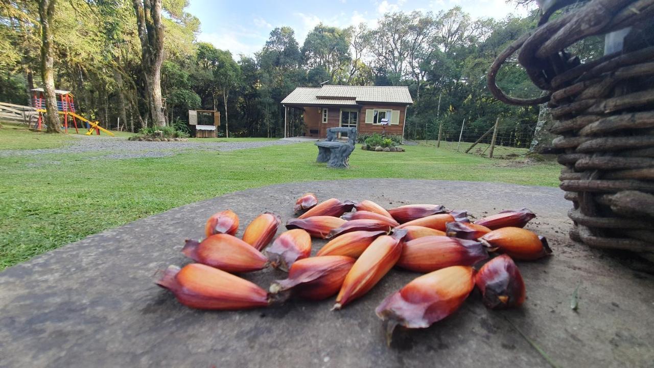 Sitio Recanto Feliz Gramado Zewnętrze zdjęcie